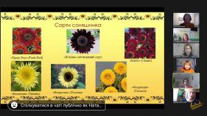 Усеукраїнський вебінар "Кроки до успіху із "Соняшником"
